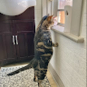 Meet your Posher, Isch3340